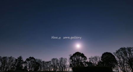 sora.gallery_2019 Digest